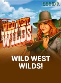 Wild West Wilds game cover